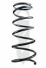 SPIDAN 85552 Coil Spring